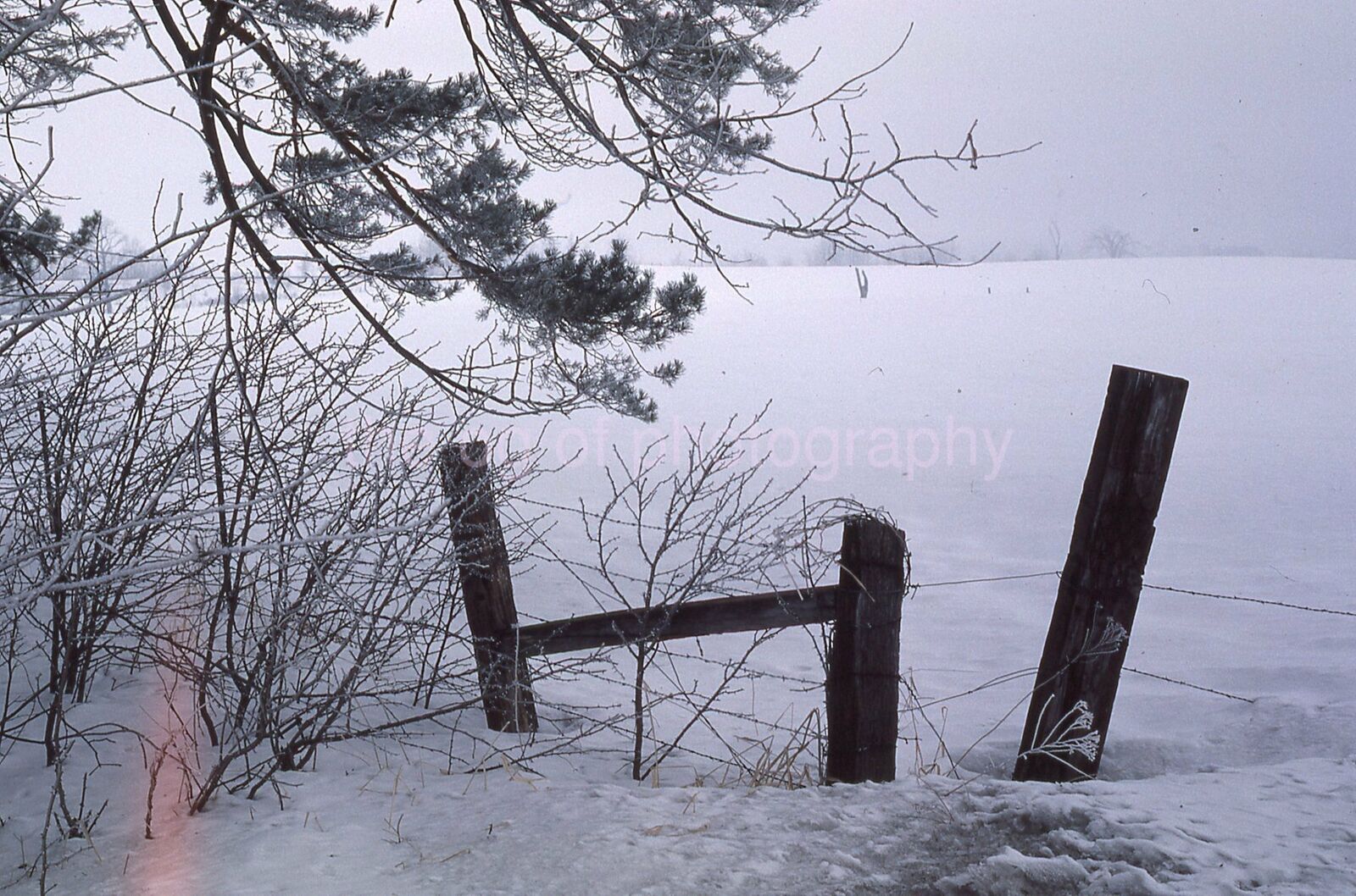 SNOWY ABSTRACT 35mm FOUND SLIDE Vintage COLOR Transparency RURAL Photo Poster painting 21 T 67 A