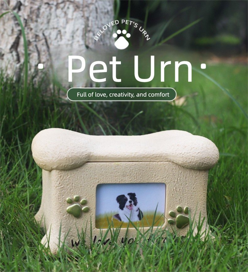 gGqRi/mnzdQy998jxNBqwnczqfBksyIMysOS