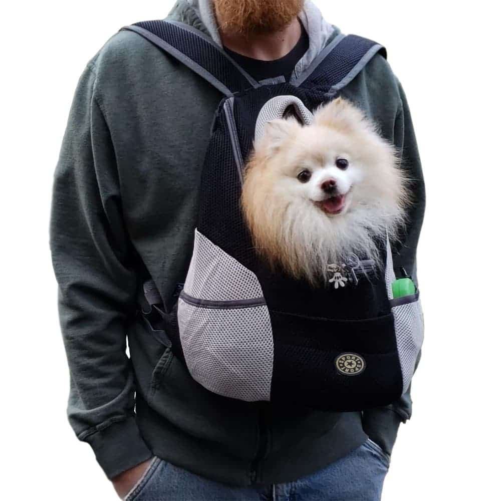 Pet Backpack Carrier