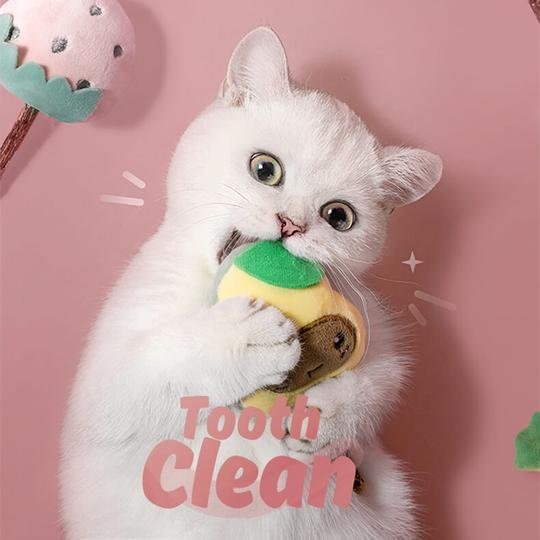 Fruit Shape Interactive Cat Chew Toy Set With Catnip 1