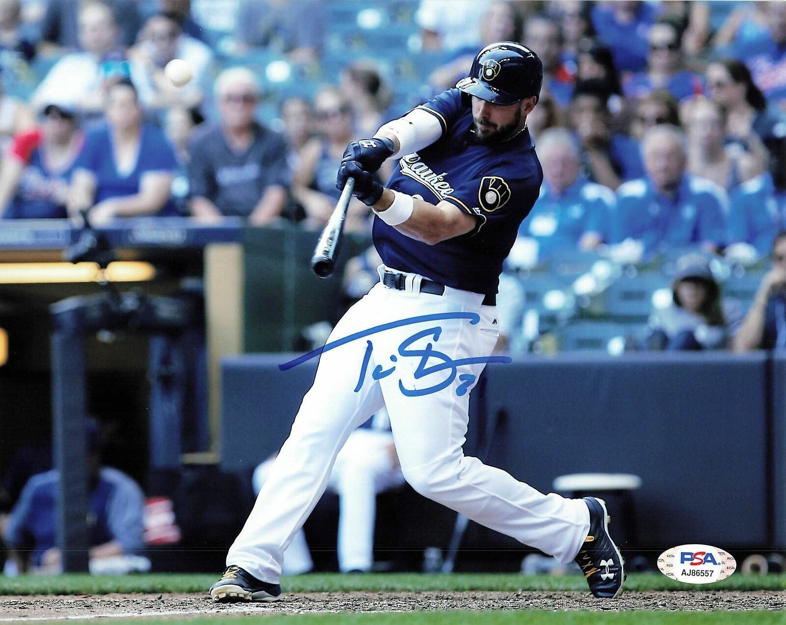 Travis Shaw signed 8x10 Photo Poster painting PSA/DNA Milwaukee Brewers Autographed