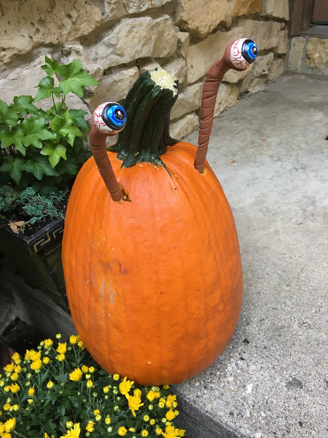 Halloween Eyeball Plant Markers