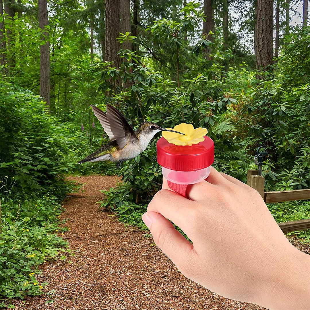 Hummingbird Hand Feeder