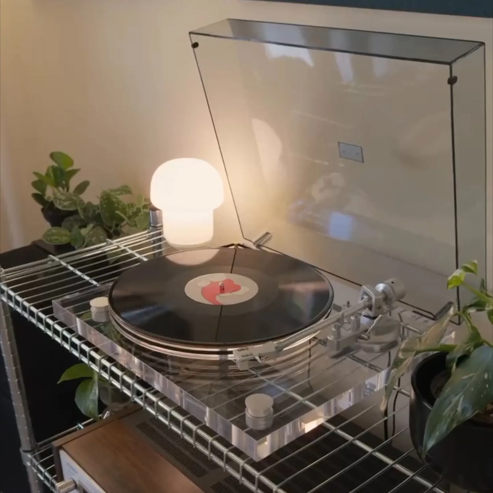 Genesis-V2 vinyl setup — community photo 9
