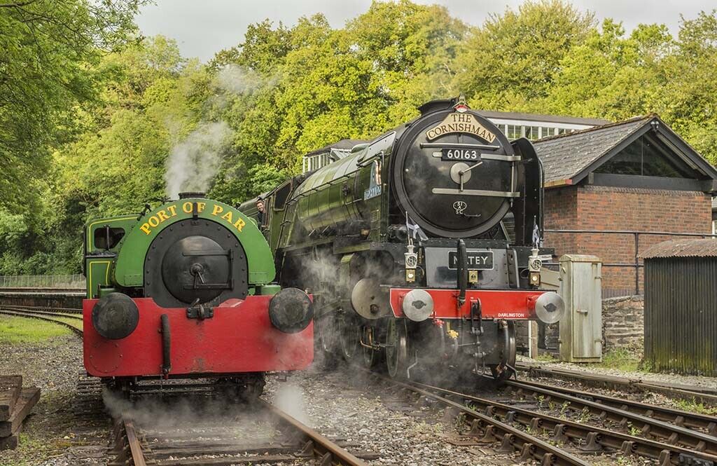 Steam Train 60163 Tornado & Port of Par Engine 12x8 inch print picture