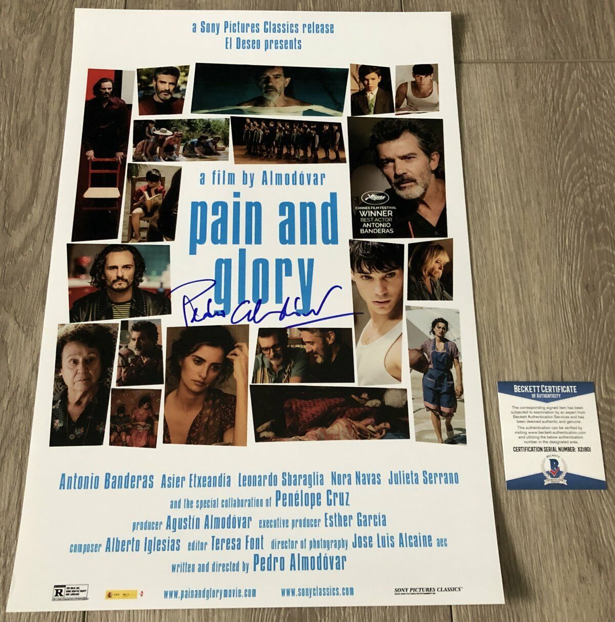 PEDRO ALMODOVAR SIGNED PAIN AND GLORY 12x18 Photo Poster painting w/EXACT PROOF BAS BECKETT COA