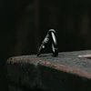Small Capsule Portable Outdoor EDC Titanium Alloy Unboxing Gadget Keychain