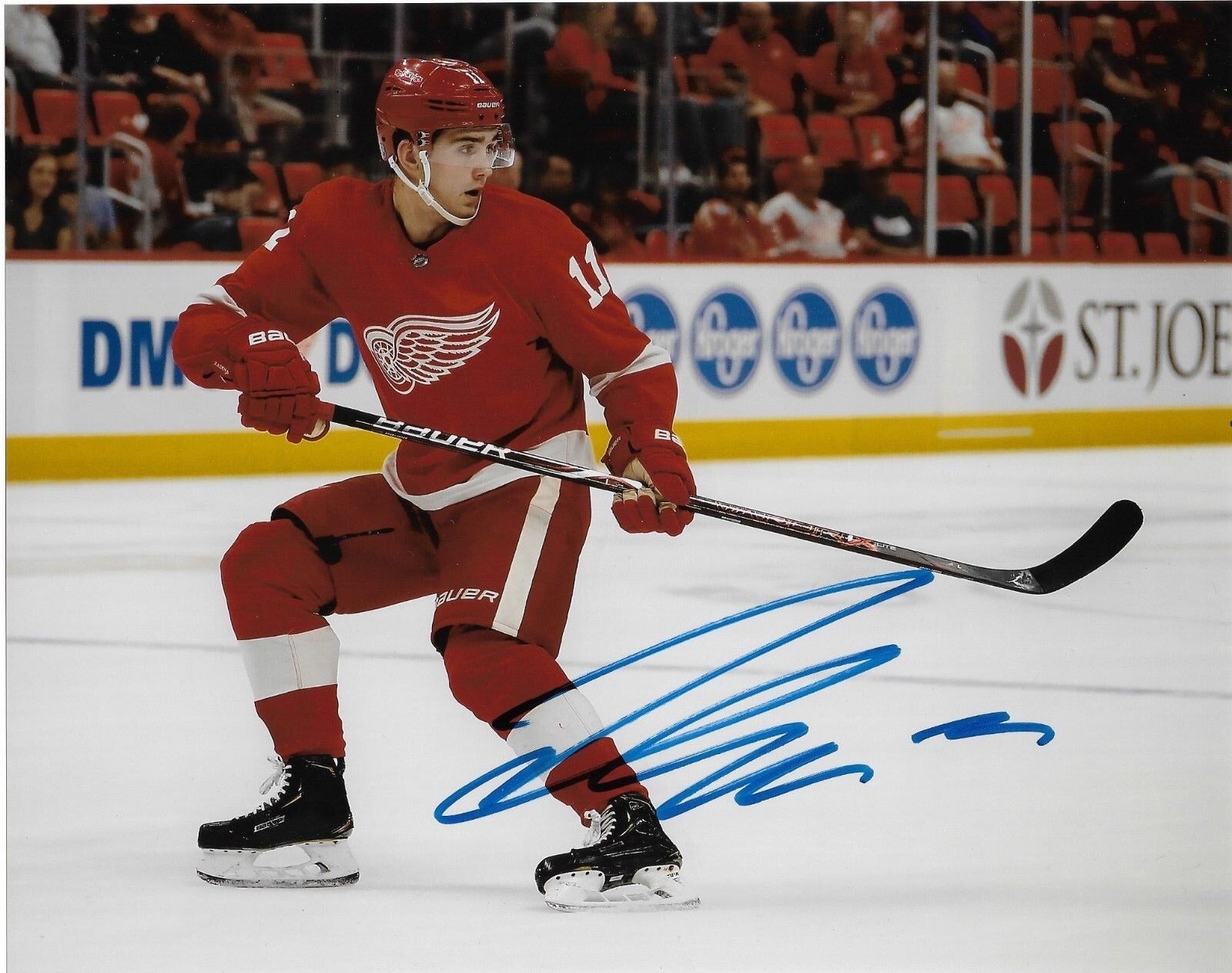 Detroit Red Wings Filip Zadina Autographed Signed 8x10 NHL Photo Poster painting COA #2