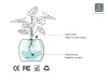LVY Expression Control Intelligent Small Flower Pot Desktop Planter APP Monitoring Sensor Expression Demand Interactive LCD Screen