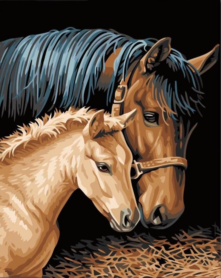 

Brown Horse and Foal – Paint By Numbers - 40*50CM, 501 Original