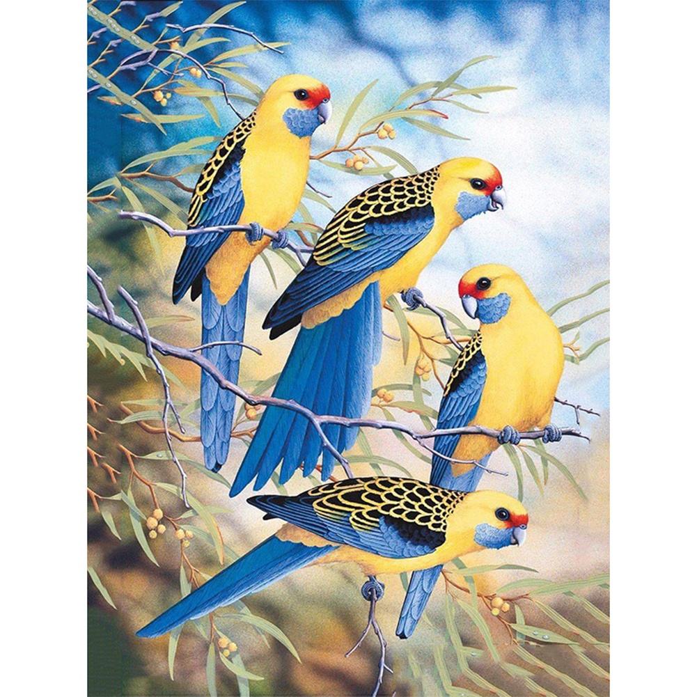 

Bird - Round Drill Diamond Painting - 40*50CM, 501 Original