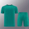 26/27 Liverpool Green Pinstripe Short-Sleeve Training Kit
