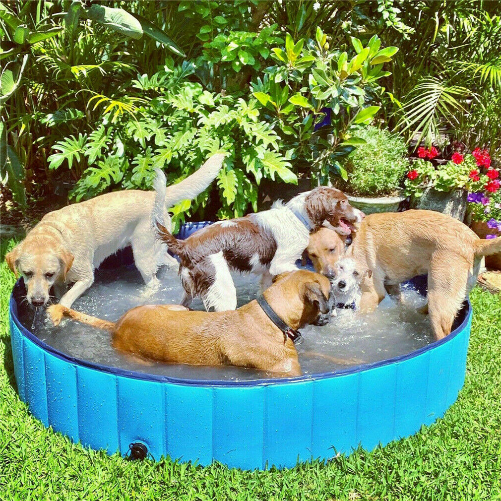 Portable Dog Swimming Pool