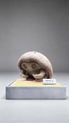 1/10 Scale Kabuto & Kabutops - Pokemon Statue - MiuMiu Studio