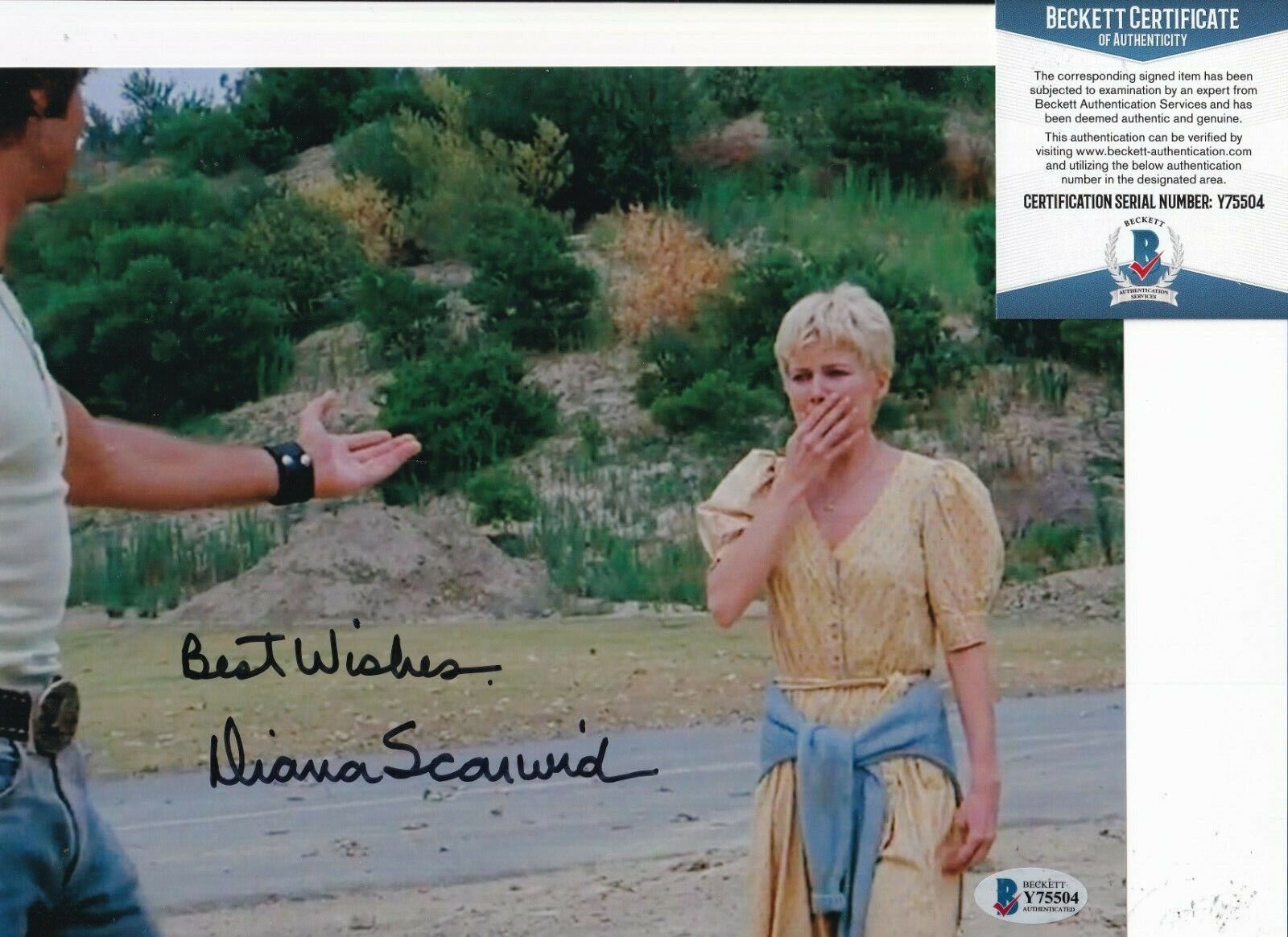 DIANA SCARWID signed (RUMBLE FISH) Cassandra Movie 8X10 Photo Poster painting BECKETT BAS Y75504