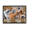 Tiger-14CT Stamped Cross Stitch Kit(29*21cm)