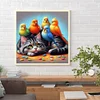 Chaton et perroquet - perceuse ronde peinture diamant - 40*40cm