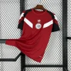 24/25 Ajax Retro Collection Soccer Jersey Second Away