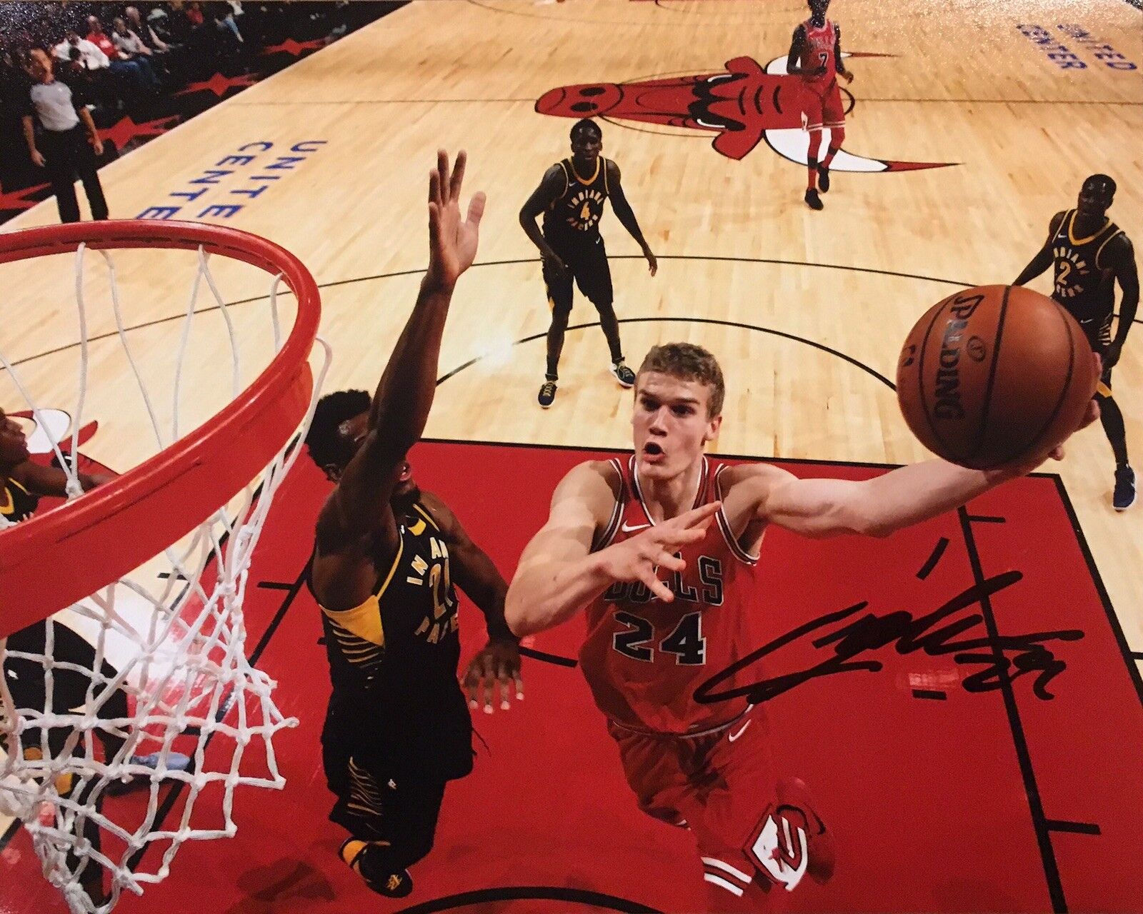 PROOF! LAURI MARKKANEN Signed Autographed 8x10 Photo Poster painting CHICAGO BULLS Arizona