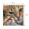 5D DIY Full Drill Diamond Painting Cat Cross Stitch Embroidery Mosaic Craft