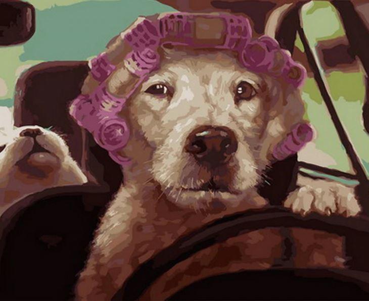 

Rolling Dog – Paint By Numbers - 40*50CM, 501 Original