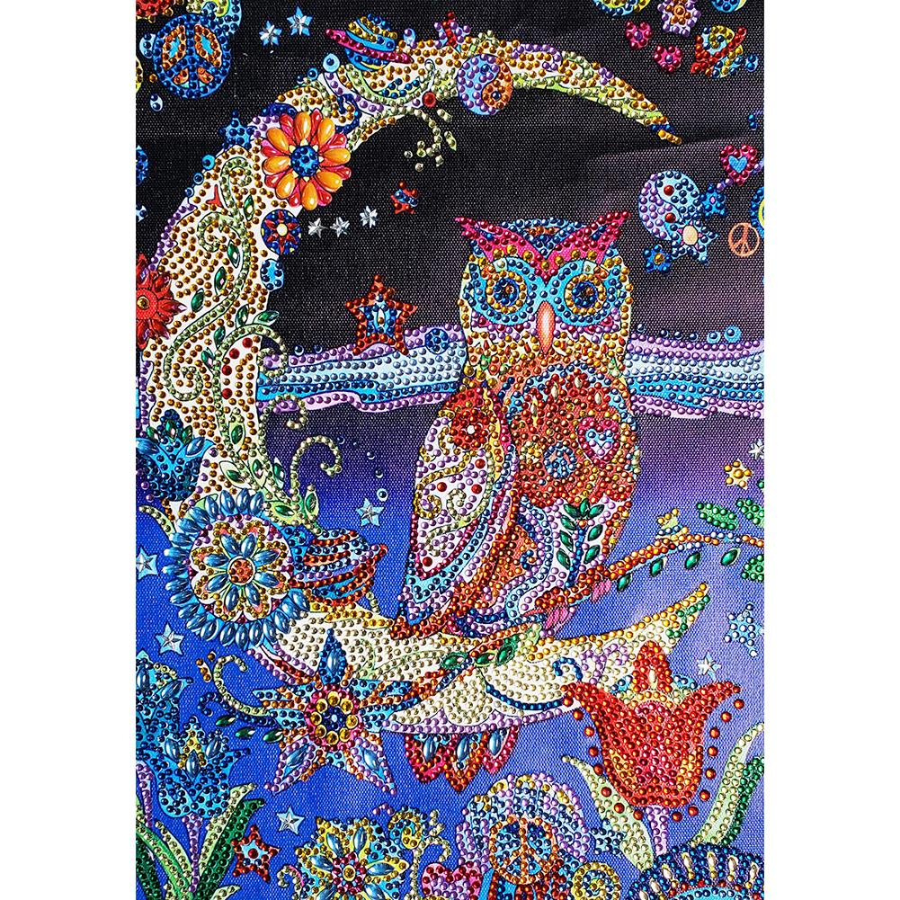 

30*40CM - Special Shaped Diamond Painting - Owl, 501 Original