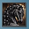 Wundersch&ouml;nes schwarzes Pferd - speziell geformtes Diamantgem&auml;lde - 30*30cm