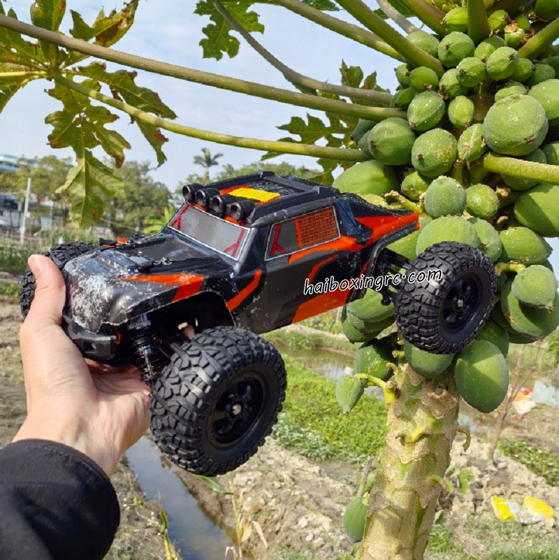 HAIBOXING HBX 901A Firebolt High Speed RC Car RTR