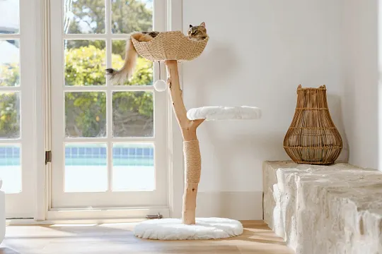 Uni cat furniture