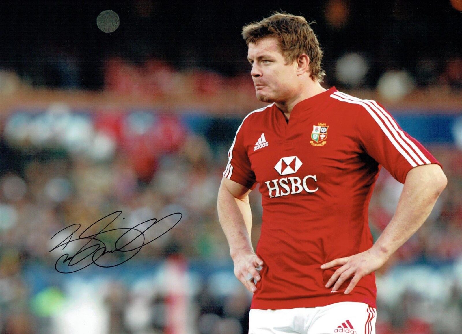 Brian O'DRISCOLL Signed Autograph 16x12 Photo Poster painting 1 AFTAL COA British Lions RUGBY