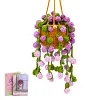 Hanging Potted Plants Crochet Kit, Crochet Starter Kit with Step-by-Step Instructions and Video Tutorials, DIY Knitting Kit for Adults, Starter Present