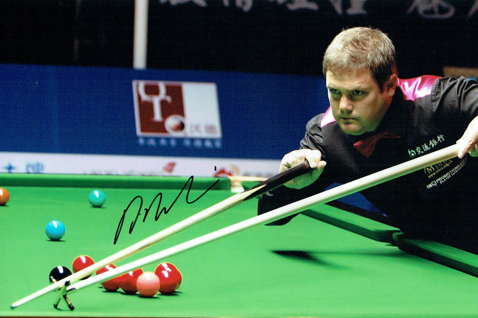 Robert MILKINS Signed Autograph Snooker 12x8 Photo Poster painting AFTAL COA The Milkman