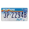 Montana - Car License - 30*15cm