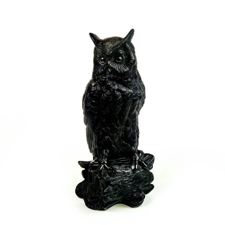 Barro Negro (Mexican Black Clay): Perched Owl