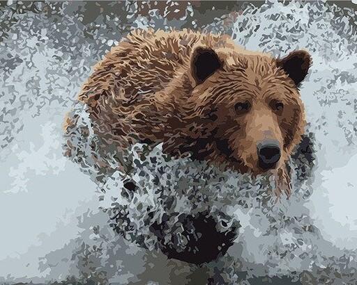 

Bear on Water – Paint By Numbers - 40*50CM, 501 Original