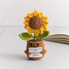(Finished Product)Crochet Flower Potted Doll with Positive Card Desktop Ornaments, Potted Plants, Bouquets Gift Home Decor