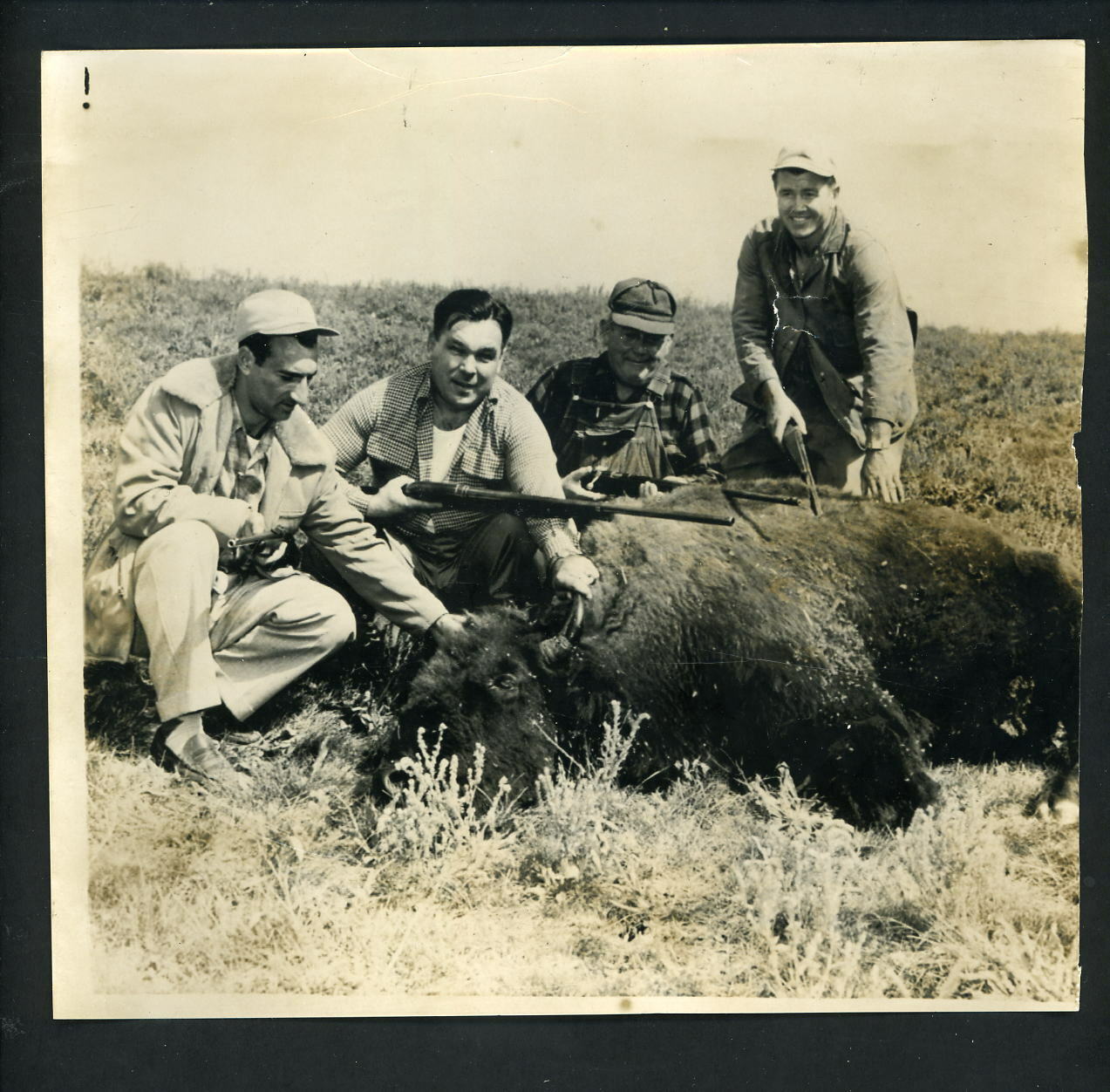 Cal Abrams buffalo hunt 1954 Press Photo Poster painting Baltimore Orioles Honochick Elmer Valo