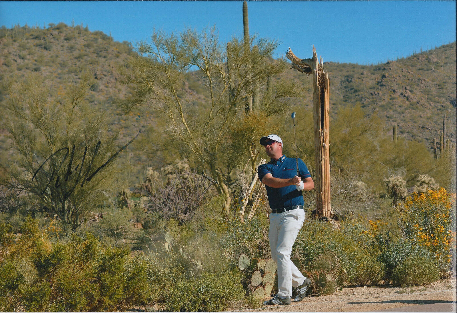 Peter HANSON SIGNED Autograph 12x8 Photo Poster painting AFTAL COA Golf Accenture Match Play