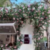 Simulated Rose Vine Gardenia Vine Decoration