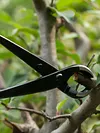 210mm Gardening Plants Styling Maintenance Tools Round Nose Pruning Pliers