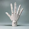 Movable Finger Joints 1/1 Human Hand Model Stand Drawing Sketch Standard Right Hand White Hand Gray Hand Model