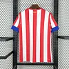 2012/2013 Retro Atletico Madrid Home Soccer Jersey 1:1 Thai Quality