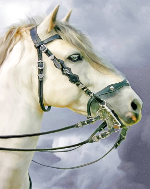 

White Horse – Paint By Numbers - 40*50CM, 501 Original