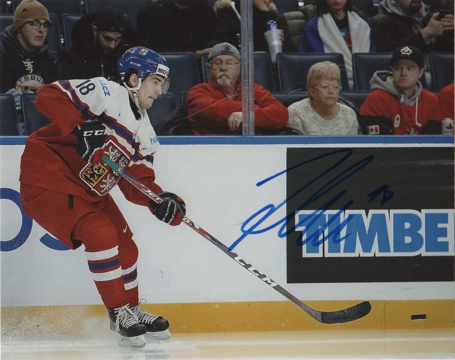 Czech Filip Zadina Autographed Signed 8x10 IIHF Photo Poster painting COA #3