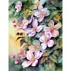 uk.everydayedeals (Limited Stock)11ct Stamped Cross Stitch - Flower(40*50cm)