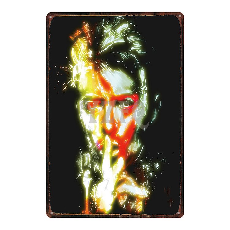 【20*30cm/30*40cm】Bowie-Vintage Tin Signs/Wooden Signs