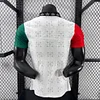 Player Version 2026 Ghana White with Black Star and Red-Green Sleeves Jersey