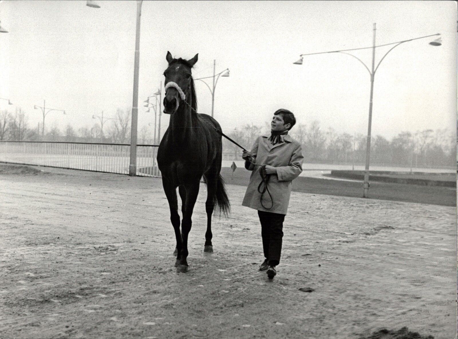 Heintje With Pferd - Vintage Press Photo Poster painting Norbert Unfried (U-4654