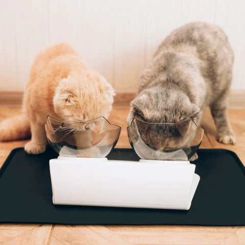 Elevated Cat Bowls