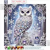 Diamond Painting-DIY Crystal Rhinestone Owl